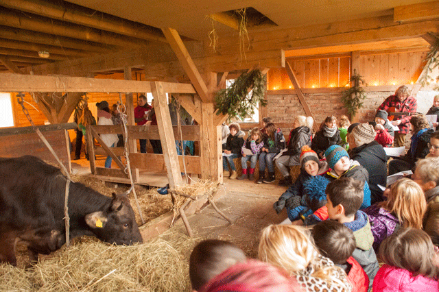 2016 Weihnachtssingen07