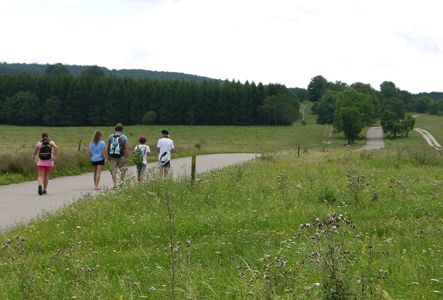 Baienhof Sommerfreizeit 4