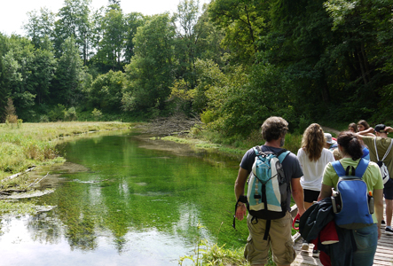 Baienhof Sommerfreizeit 7