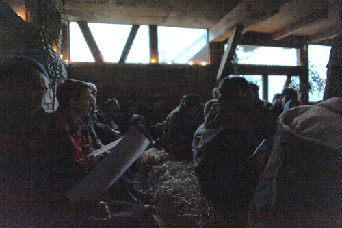 Weihnachtssingen Im Stall 2