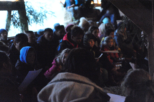Weihnachtssingen Im Stall 5