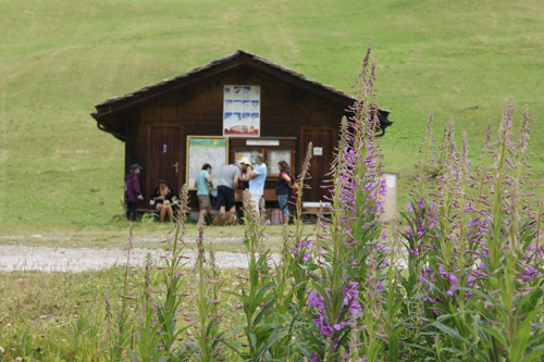 Sommerfreizeit2018 Familienfreizeit 1