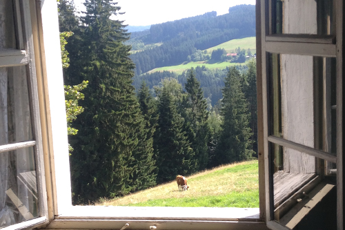 Sommerfreizeit2018 Rosehof 3