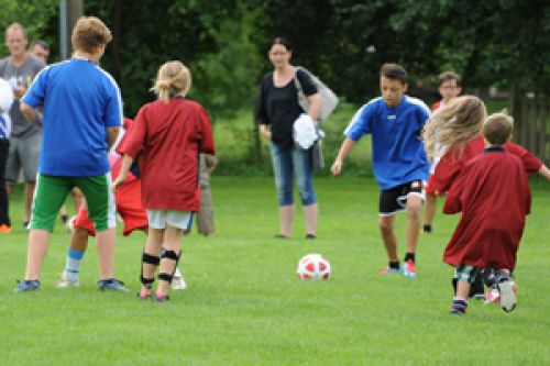 Donau Bodensee Cup Einleitung